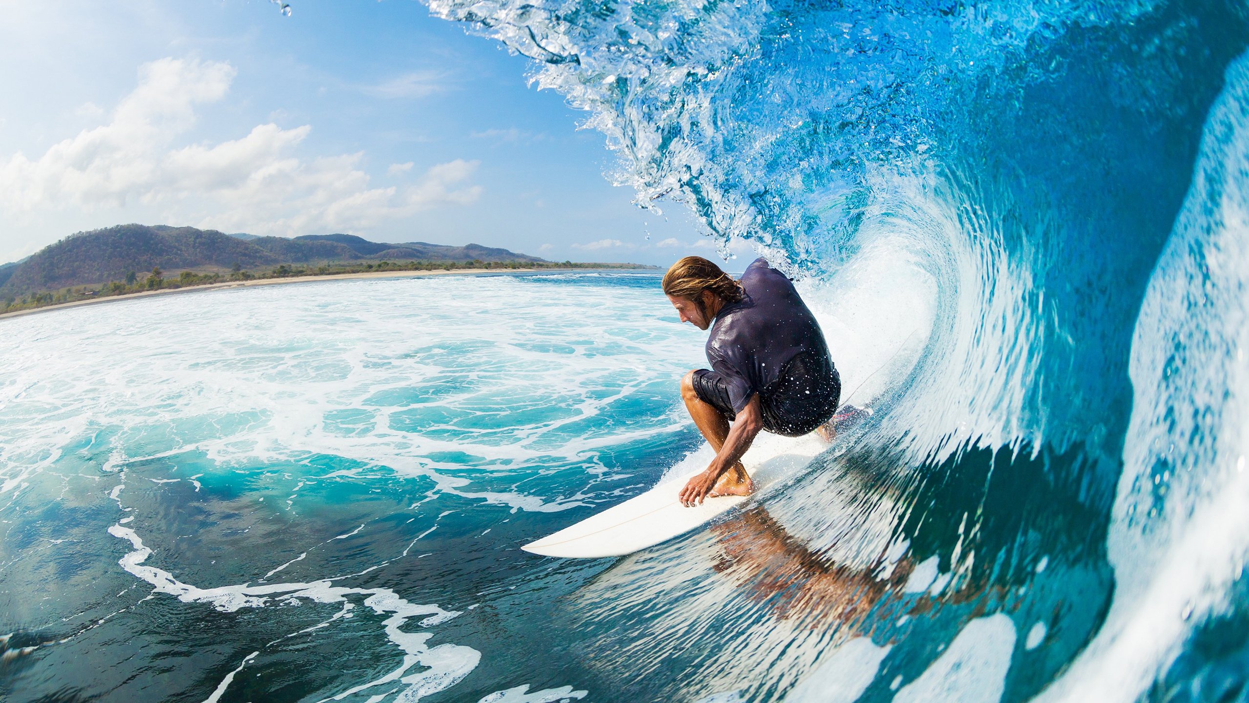 爱尔兰橄榄球队在世界杯中进入八强，爱尔兰橄榄球队在世界杯中进入八强了吗